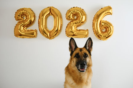 Greeting card with cute German shepherd dog and golden balloons in the shape of numbers 2026 on white background. Happy New Year and Merry Christmas conceptの写真素材