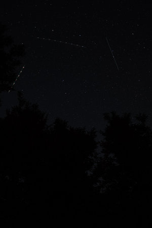 Starry night sky with meteors and airplane trails above dark tree silhouettes, long exposure astrophotographyの写真素材