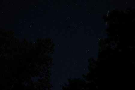 Night sky with stars, meteor, and airplane light trail above forest silhouettes, long exposure...