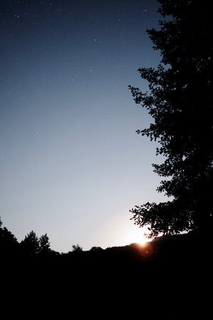 Bright rising moon behind forested hills with starry night sky, glowing light casting silhouettes of treesの写真素材