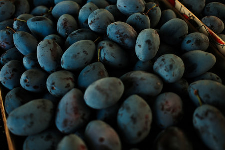 Fresh ripe blue plums in a wooden crate at the market. Organic fruit harvested for eating fresh or making jamの写真素材