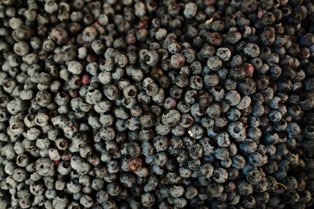 Fresh ripe blueberries piled together at the market. Organic berries rich in antioxidants, used in desserts and healthy mealsの写真素材