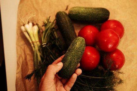 Hand holding a fresh green cucumber above tomatoes and herbs. Organic seasonal vegetable from local farm marketの写真素材