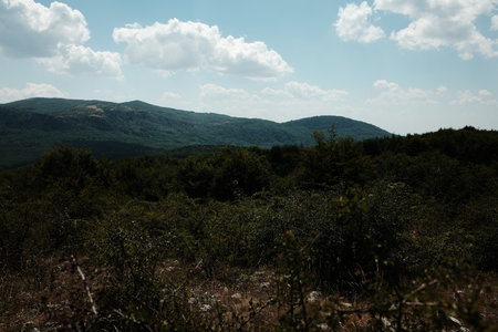 Scenic view of Stara Planina mountains with dense green forest under a partly cloudy summer skyの写真素材