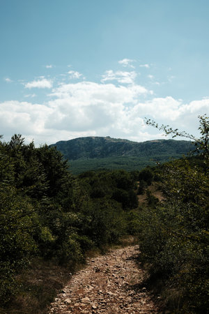 Rocky hiking path leading through forest towards mountain ridge in Stara Planina in Serbia under...