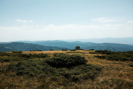 Expansive mountain view from Stara Planina, Serbia, with rolling hills and grassy plateaus stretching into the horizonの写真素材