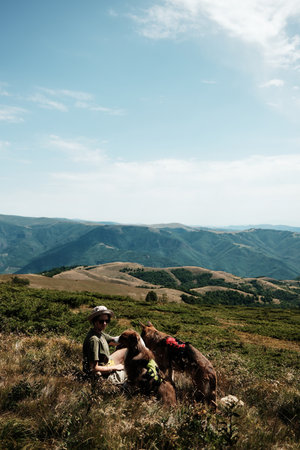 Woman with two dogs German and Australian Shepherd sitting on a mountain meadow in Stara Planina, Serbia, enjoying the scenic panoramic view of green ridges under a bright sky. Hiking with petsの写真素材