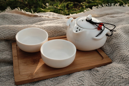 White China style teapot with lid and two empty cups on a wooden tray, placed outdoors on a blanketの写真素材