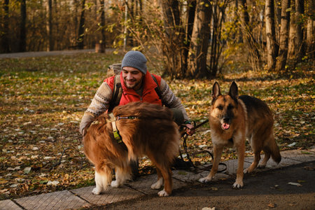 Man in a orange vest with two dogs in autumn park, petting them on the path