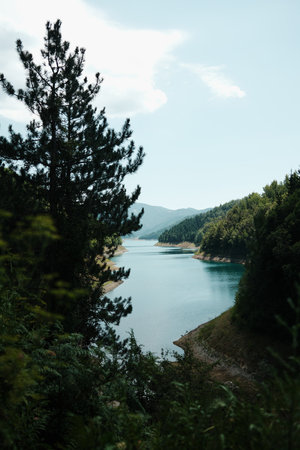 Vertical view of Zaovine Lake and the surrounding green hills under a bright sky in Tara National Park, Serbiaの写真素材