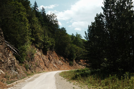 Curved rural road winding through forested hills in Tara National Park, Serbia, on a sunny summer dayの写真素材