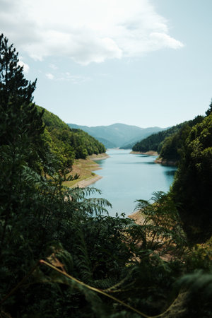 Vertical view of Zaovine Lake and the surrounding green hills under a bright sky in Tara National Park, Serbiaの写真素材