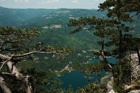Beautiful Perucac lake surrounded by lush green hills and pine trees, viewed through branches at Banjska Stena in Tara National Park, Serbia countryの写真素材
