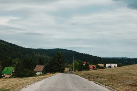 Road leading through village in Tara National Park, Serbia, with forested hillsの写真素材