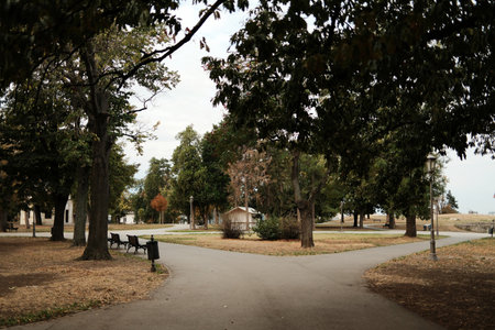 Walking paths cross under tall trees in Kalemegdan Park on a peaceful autumn morning in Belgrade