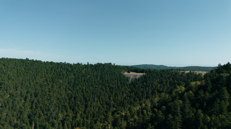 Aerial view of green mountain ridges and forested valleys in Divcibare, Serbiaの写真素材