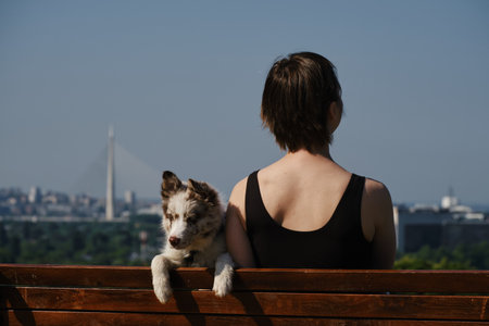 Woman with red merle border collie puppy on a bench in Kalemegdan Fortress, Belgrade, with city view and Ada Bridge in background. Rear view. Travel with pet conceptの写真素材