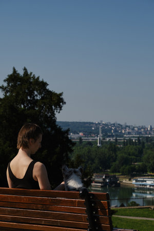 Woman with border collie puppy sitting on wooden bench in Kalemegdan Fortress, Belgrade, overlooking the Sava Riverの写真素材
