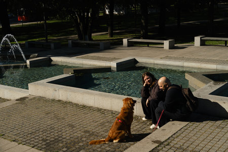 Couple with retriever sitting by fountain in Belgrade park on sunny morning. Walking with pet...
