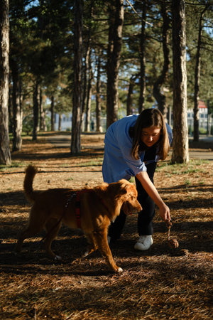 Woman playing fetch with dog holding rope toy in forest park.の写真素材