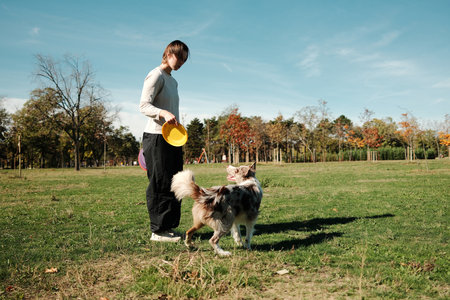 A young woman playing with a Border Collie using colorful frisbees in a sunny autumn park surrounded by trees. Active lifestyle and joyful connection with a pet conceptの写真素材