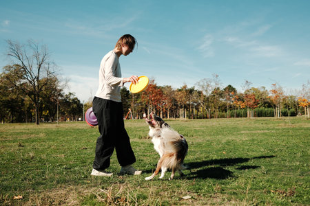 A young woman playing with a Border Collie using colorful frisbees in a sunny autumn park surrounded by trees. Active lifestyle and joyful connection with a pet conceptの写真素材