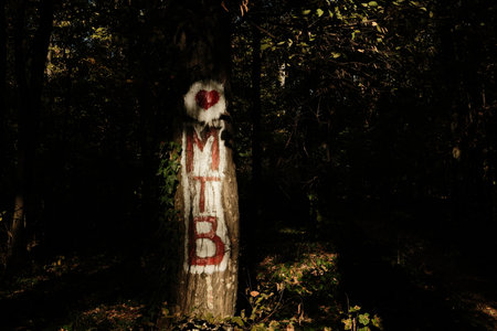 Mountain bike trail symbol painted on tree trunk in autumn forest of Fruska Gora Serbia representing active lifestyle and adventureの写真素材