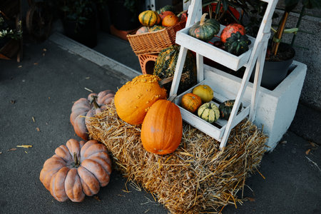 Colorful pumpkins arranged on a hay bale beside a street shop create a cozy autumn atmosphere perfect for seasonal decoration or harvest themesの写真素材