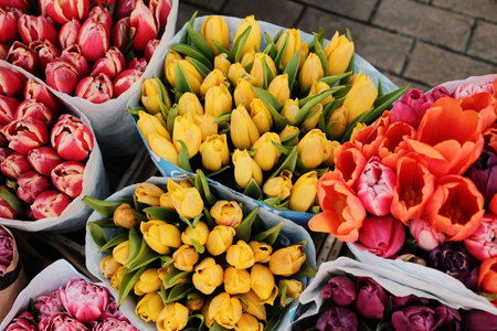 Fresh tulips in pink, yellow, orange, and purple hues beautifully arranged in market display. Street spring outdoor marketの写真素材