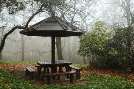 A wooden table and benches under a roof stand in the misty forest clearing. Fallen leaves and quiet air create a tranquil moodの写真素材