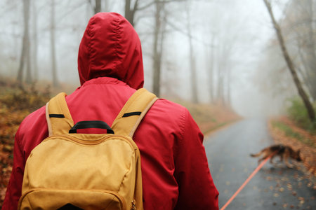 Rear view of traveler in red jacket with yellow backpack walking along misty autumn forest road with German shepherd. Travel with dog conceptの写真素材