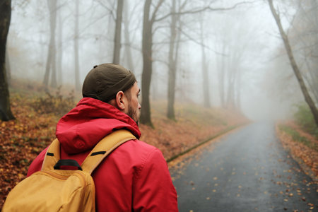 Back rear view of male traveler in red jacket and backpack looking at foggy autumn forest roadの写真素材