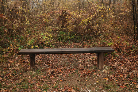 Simple wooden bench surrounded by colorful autumn leaves and calm natural atmosphere