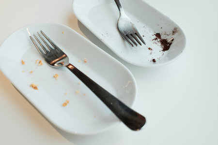 Overhead view of two white plates with forks and leftover crumbs and cocoa after eating dessertの写真素材