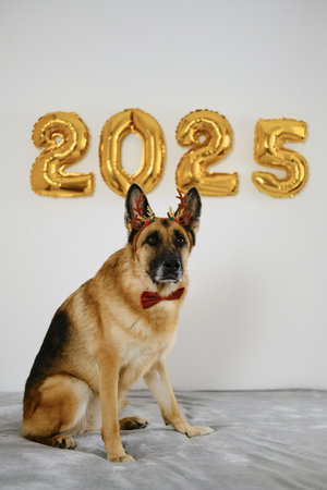 Greeting card with a dog and golden balloons in the shape of numbers 2025 - Happy New Year and Merry...