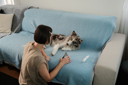 A woman kneels by the sofa speaking to a border collie before grooming begins. The moment reflects preparation, reassurance, and pet careの写真素材