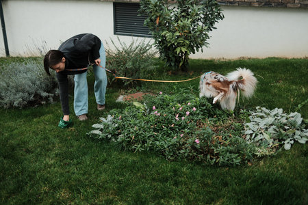 A woman cleans up after her Border Collie in a residential garden during a walk. Concept highlights responsible ownership and eco-friendly pet habitsの写真素材