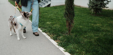 A dog on a leash walks beside a woman along a quiet path with green grass. The moment captures calm outdoor routine and companionship. Horizontal web bannerの写真素材