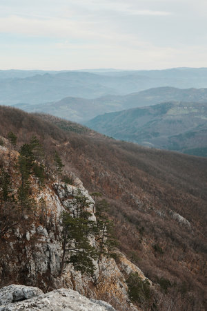 Wide mountain panorama in Tara National Park Serbia with layered hills fading into distance....