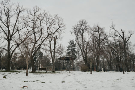 Wide winter landscape of Kalemegdan Park in Belgrade with leafless trees, snow-covered ground and distant pavilion, creating a quiet and open urban park sceneの写真素材