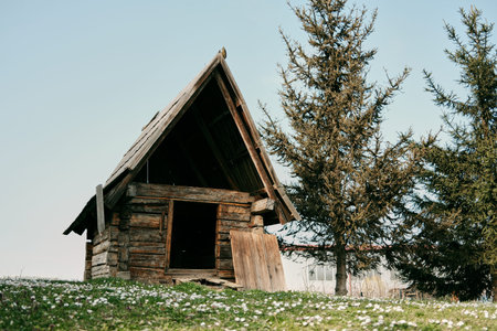 Small historic wooden hut on green meadow with spring flowers in Stanisici Ethno Village near Bijeljina Bosnia and Herzegovina. Concept of countryside heritage rural life and tourism
