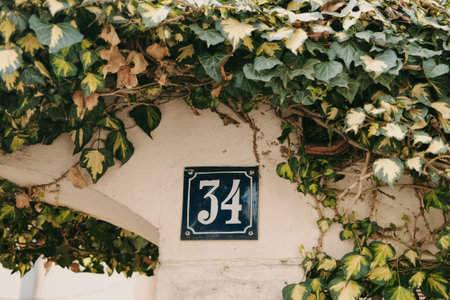 House 34 number sign on wall covered with green ivy leaves in natural light. Perfect for address concept, residential design, navigation and urban lifestyle themes