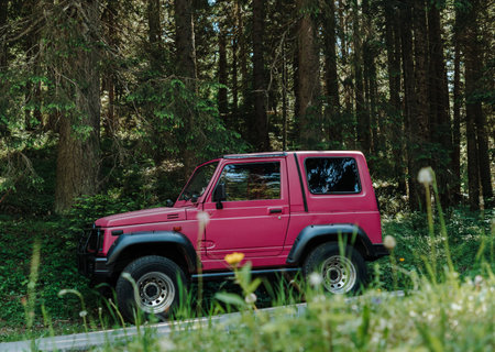 Pink off road SUV parked beside a forest road in Durmitor, Montenegro. Rugged vehicle surrounded by dense evergreen woodland