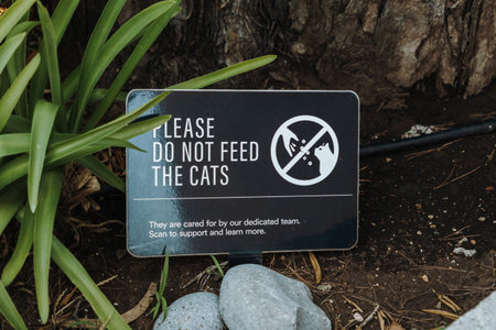 Informational sign asking visitors not to feed cats placed in a landscaped garden. Animal welfare message surrounded by plants and natural elements