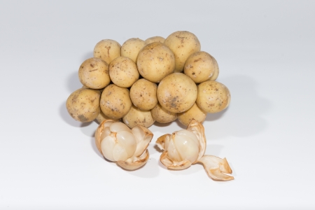 Southern Longsat fruit isolate on white backgroutの写真素材