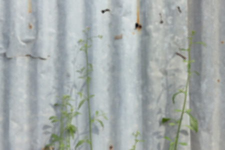 Glass effect texture backgroundの写真素材