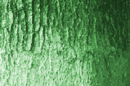 Glass effect Tree bark texture  backgroundの写真素材