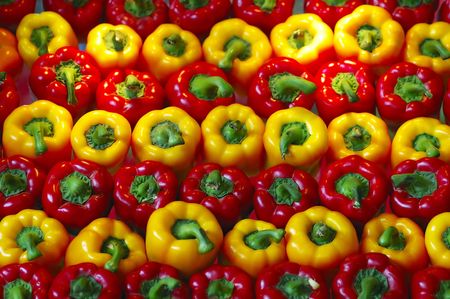 Fresh red and yellow bell pepper lay out in orderの写真素材
