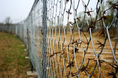wire nettingの写真素材