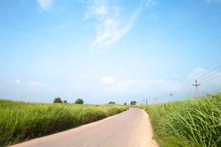 Long road on fieldの写真素材